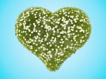 Green grass heart shape with camomile flowers over blue background