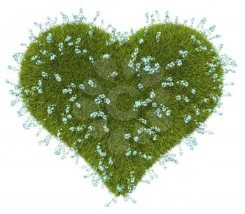 Green grass heart shape with forget-me-not flowers over white background