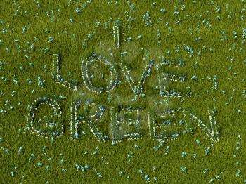 I love green flower words on the meadow. High resolution