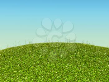 Green grass landscape with clover and camomile flowers. Bright sunny day