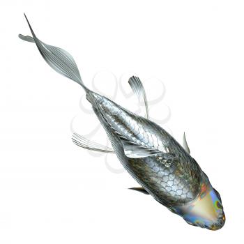 Royalty Free Clipart Image of a Glass Fish