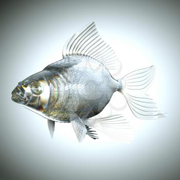 Glassy fish with scales and fins over grey