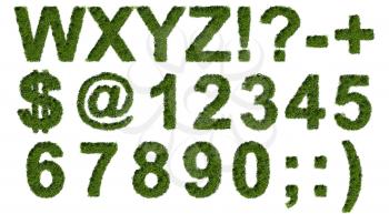 Green grass type set with letters symbols and numerals