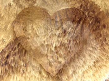 Heart shape on fox fur pattern. Large resolution