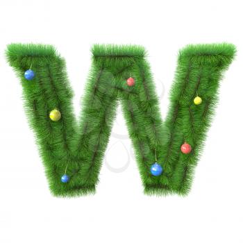 W letter made of christmas tree branches isolated on white background