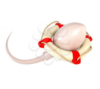 Sperm and lifebuoy isolated on white background. Concept for successful fertilization. 3d illustration.