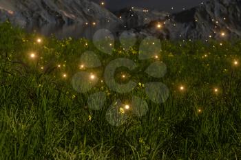 Flying glowworm over the grass field, 3d rendering. Computer digital drawing.