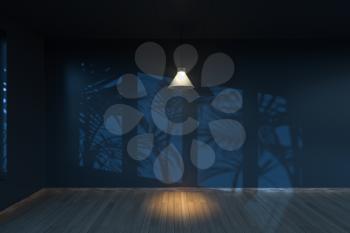 Empty room and shadows,wooden floor and ceiling lamp,3d rendering. Computer digital drawing.