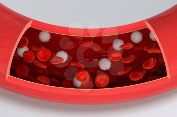 Red and white blood cells in the blood vessel, 3d rendering. Computer digital drawing.