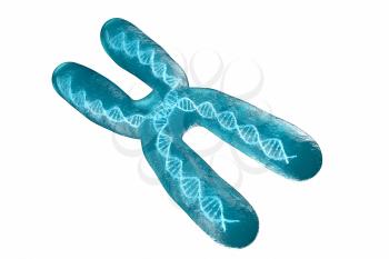 Chromosome with white background, 3d rendering. Computer digital drawing.