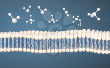 Cell Membrane and Molecules, 3d rendering. Computer digital drawing.