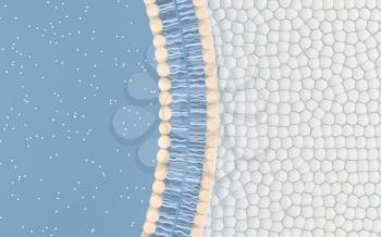 Cell membrane with blue background, 3d rendering. Computer digital drawing.
