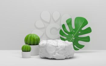 Cactus and monstera with white background , 3d rendering. Computer digital drawing.
