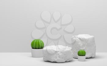 Cactus and stones with white background, 3d rendering. Computer digital drawing.