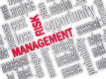 3d Illustration of Wordcloud word tags of risk management 