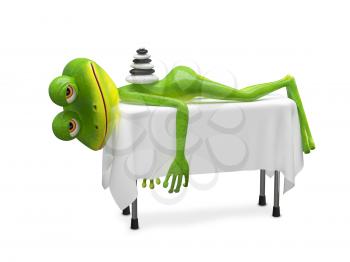 3D Illustration Frog on SPA Procedure on a White Background
