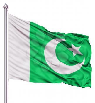 Royalty Free Clipart Image of the Flag of Pakinstan