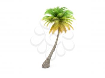 Royalty Free Clipart Image of a Palm Tree