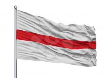 Dendermonde City Flag On Flagpole, Country Belgium, Isolated On White Background, 3D Rendering