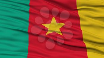 Closeup Cameroon Flag, Waving in the Wind, High Resolution