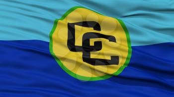 Closeup CARICOM Flag, Waving in the Wind, High Resolution