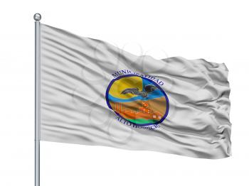 Alto Hospicio City Flag On Flagpole, Country Chile, Isolated On White Background, 3D Rendering