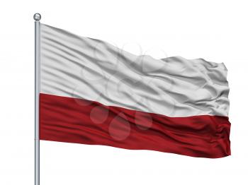 Choachi City Flag On Flagpole, Country Colombia, Cundinamarca Department, Isolated On White Background, 3D Rendering