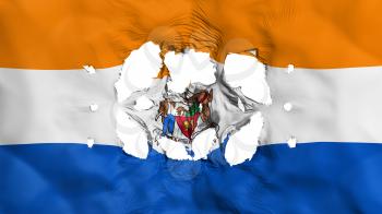 Holes in Albany city, capital of New York state flag, white background, 3d rendering