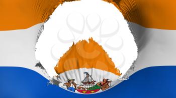 Big hole in Albany city, capital of New York state flag, white background, 3d rendering