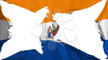 Destroyed Albany city, capital of New York state flag, white background, 3d rendering