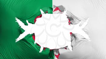 Algeria flag with a big hole, white background, 3d rendering