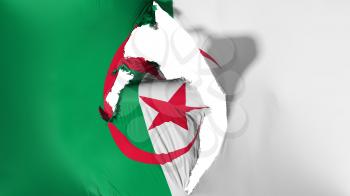 Damaged Algeria flag, white background, 3d rendering
