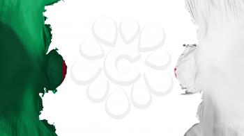Blasted Algeria flag, against white background, 3d rendering