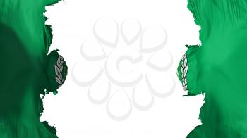 Blasted Arab League flag, against white background, 3d rendering