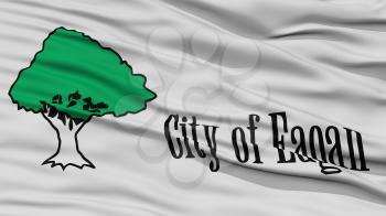Closeup of Eagan City Flag, Waving in the Wind, Minnesota State, United States of America