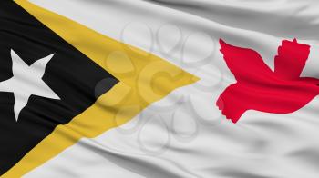 Baucau City Flag, Country East Timor, Closeup View, 3D Rendering