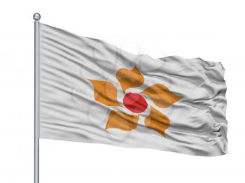 Nikko City Flag On Flagpole, Country Japan, Tochigi Prefecture, Isolated On White Background