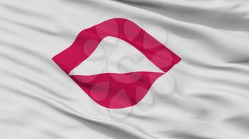 Ninohe City Flag, Country Japan, Iwate Prefecture, Closeup View, 3D Rendering