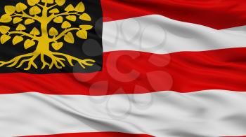 Hertogenbosch City Flag, Country Netherlands, Closeup View, 3D Rendering