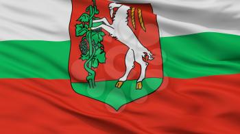 Lublin City Flag, Country Poland, Closeup View, 3D Rendering