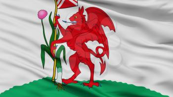 Cardiff City Flag, Country Uk, Closeup View, 3D Rendering