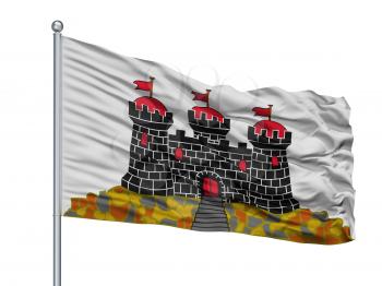 State City Flag On Flagpole, Country Transnistria, Isolated On White Background