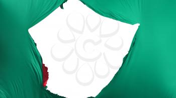 Cracked Bangladesh flag, white background, 3d rendering