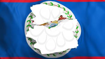 Tattered Belize flag, white background, 3d rendering