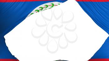 Divided Belize flag, white background, 3d rendering