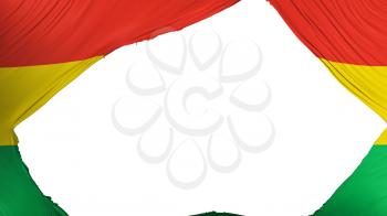 Divided Bolivia flag, white background, 3d rendering