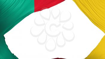 Divided Cameroon flag, white background, 3d rendering