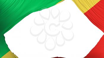 Divided Republic of Congo Brazzaville flag, white background, 3d rendering
