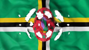 Dominica flag with a small holes, white background, 3d rendering