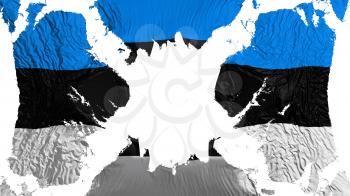 Estonia torn flag fluttering in the wind, over white background, 3d rendering